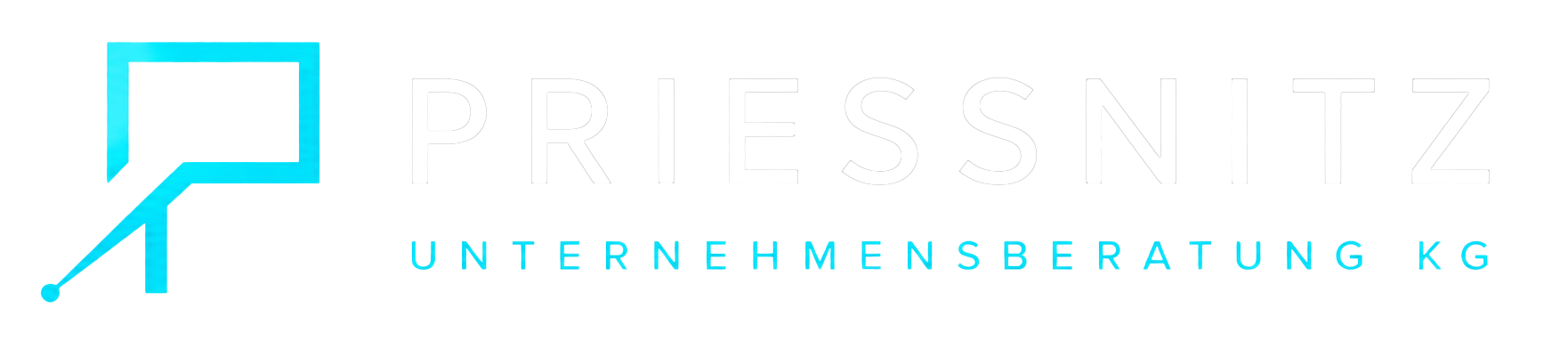 Priessnitz Unternehmensberatung KG